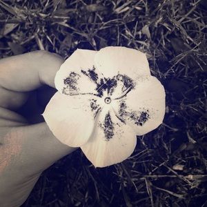 Meet your Posher, Lizzie